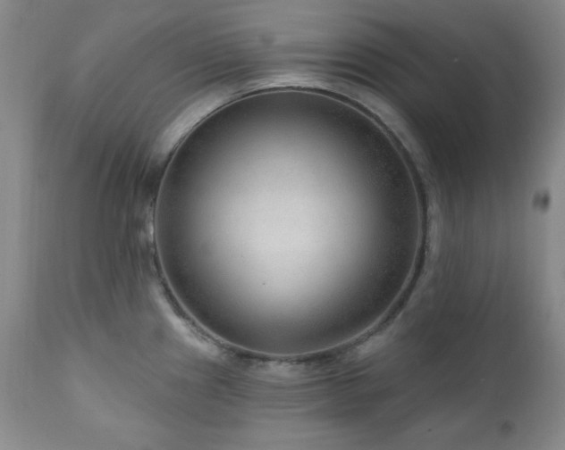 X0000111041241200906251354