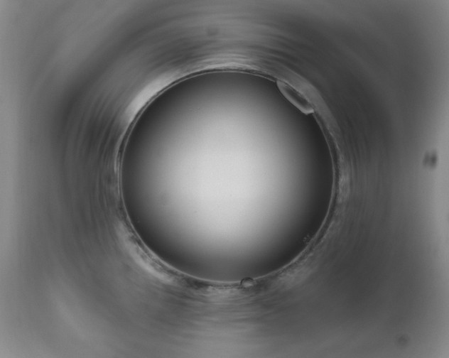 X0000111041242200906251354