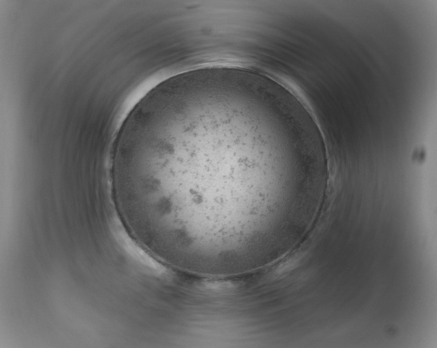 X0000111041243200906251354