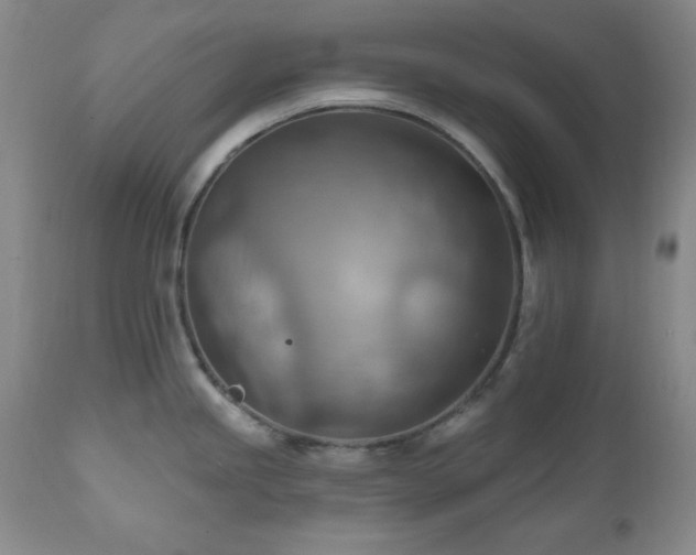 X0000111041245200906251354