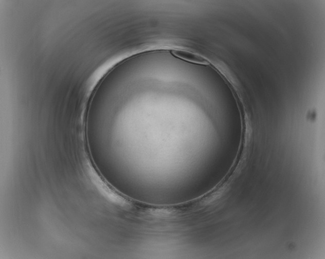 X0000111041246200906251354