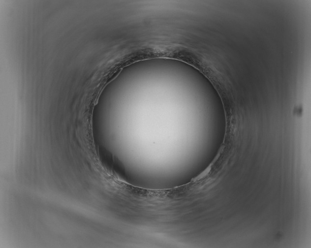 X0000111041249200906251353
