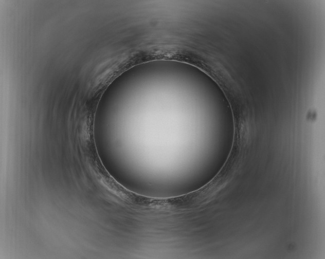 X0000111041250200906251353