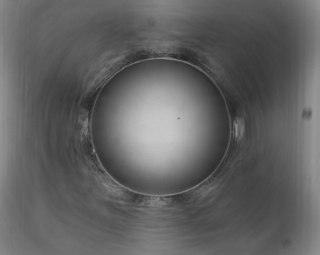 X0000111041251200906251353