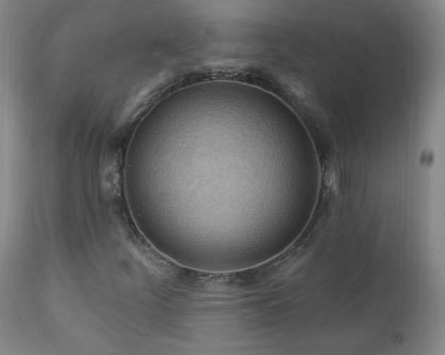 X0000111041252200906251353