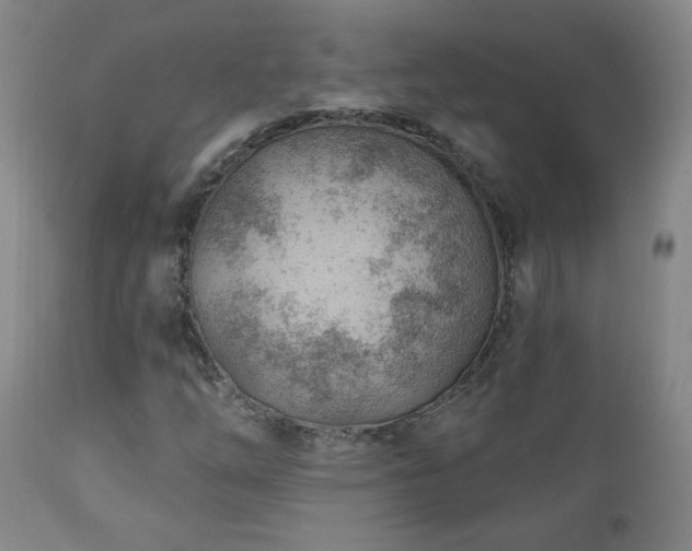 X0000111041254200906251353