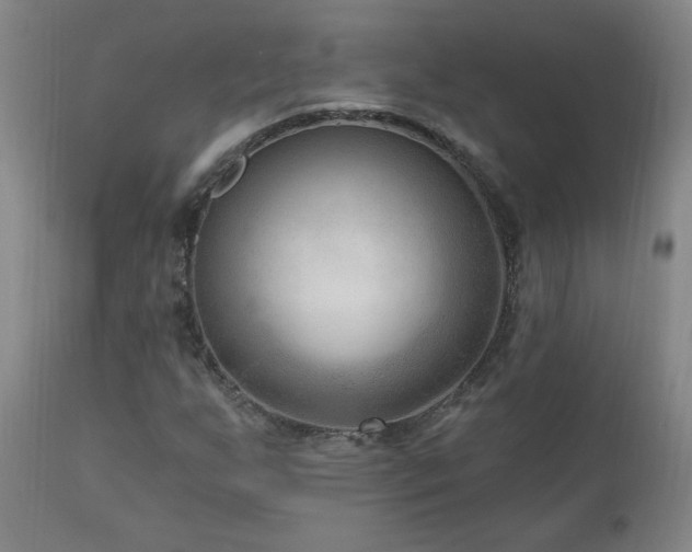 X0000111041255200906251353