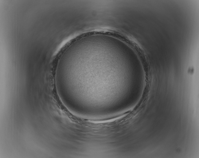 X0000111041256200906251353