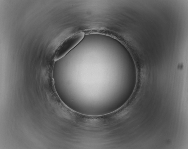X0000111041257200906251353