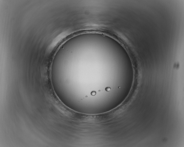 X0000111041259200906251353