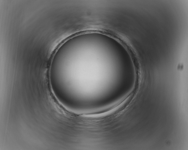 X0000111041260200906251353