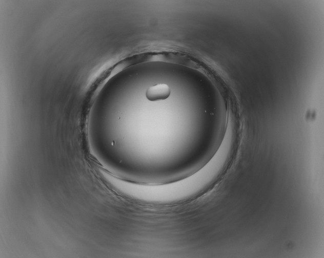 X0000111041261200906251353