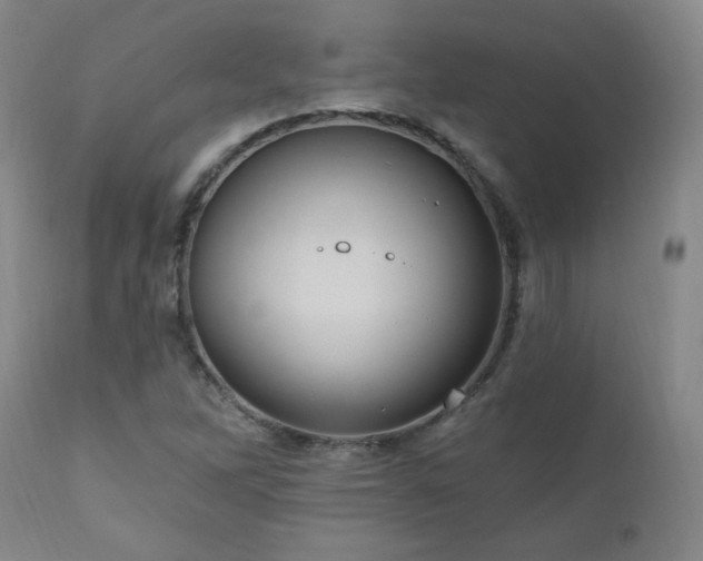 X0000111041262200906251353