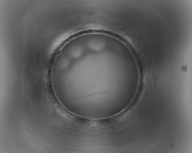 X0000111041263200906251353