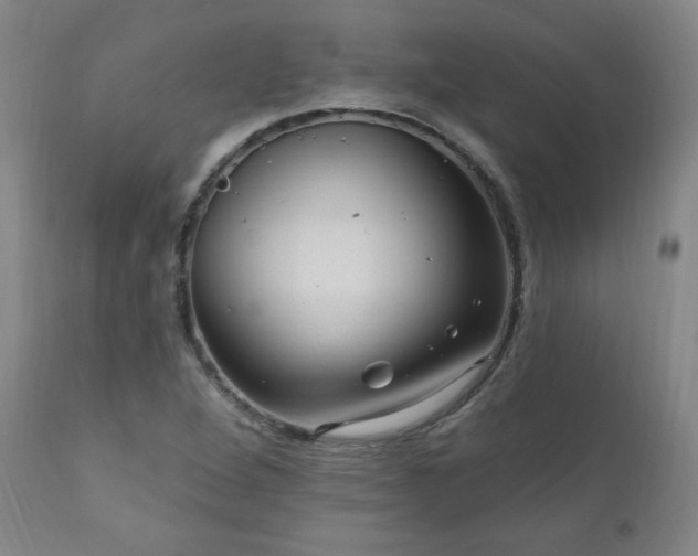 X0000111041264200906251353