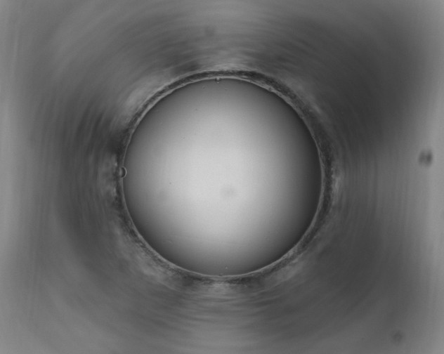 X0000111041265200906251353