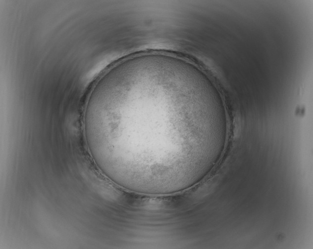 X0000111041266200906251353