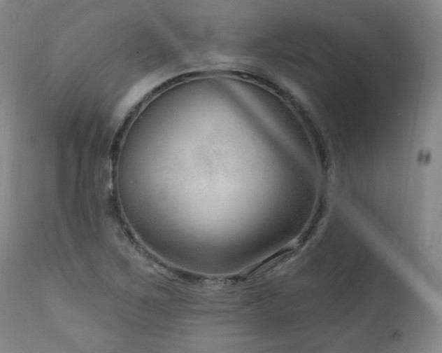 X0000111041267200906251353