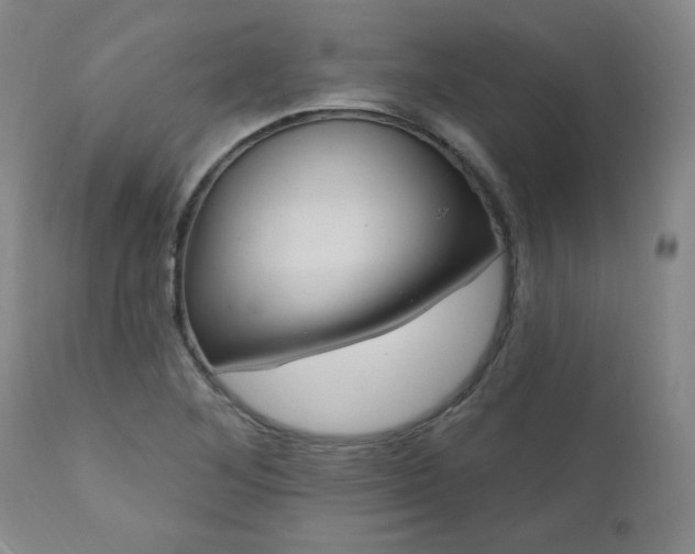 X0000111041268200906251353