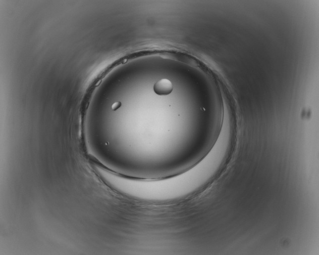 X0000111041269200906251353