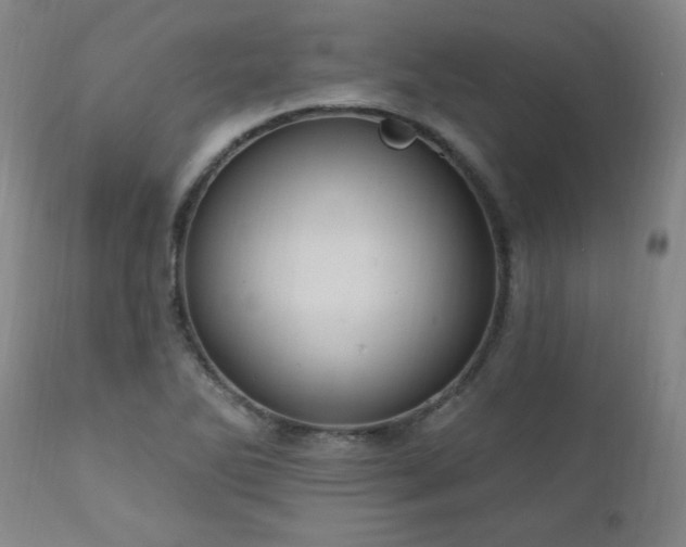 X0000111041270200906251353