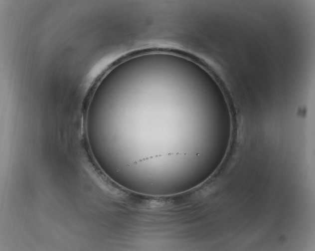 X0000111041271200906251353