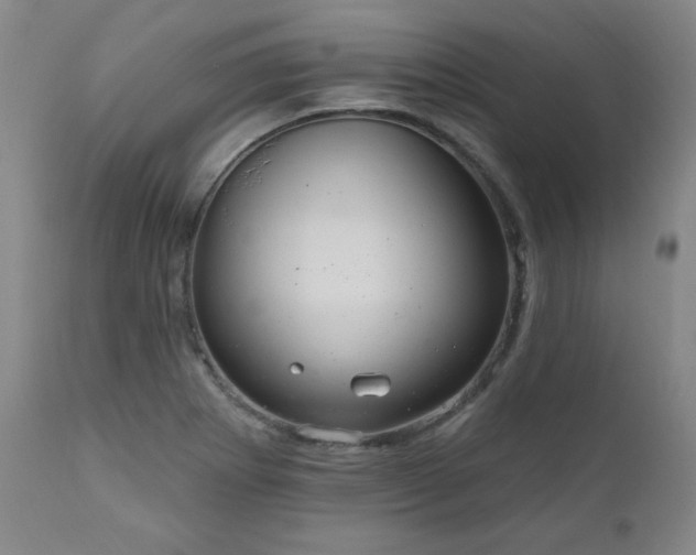 X0000111041273200906251353