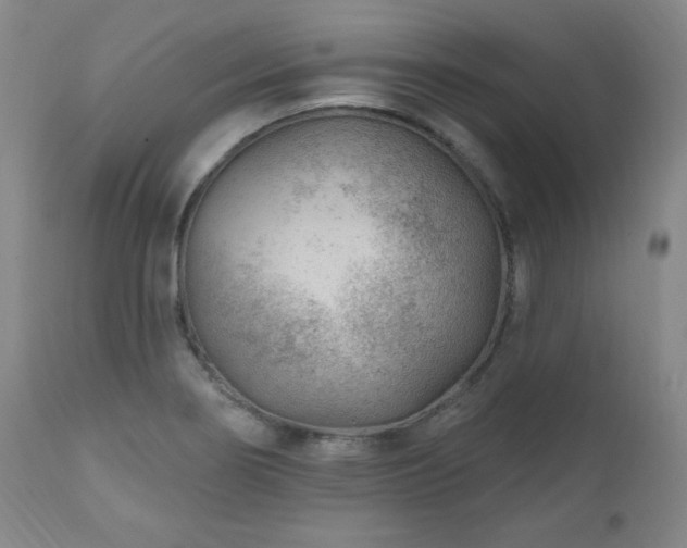 X0000111041274200906251353