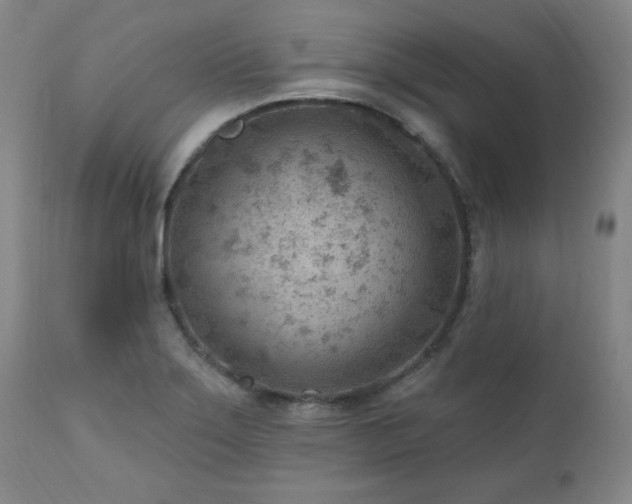 X0000111041275200906251353