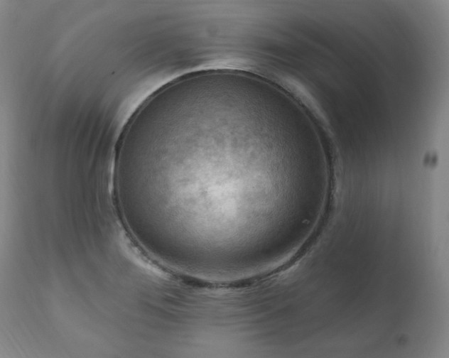 X0000111041276200906251353