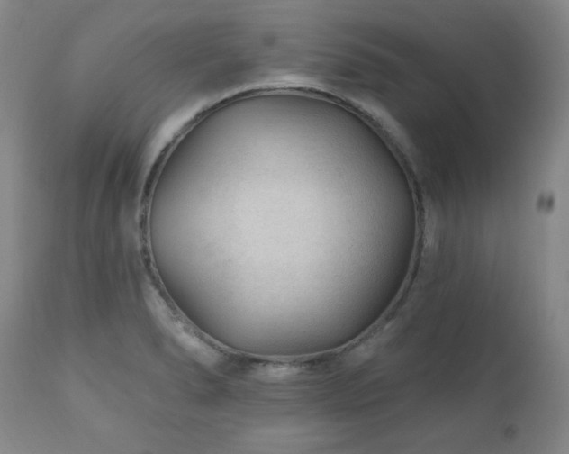 X0000111041278200906251353