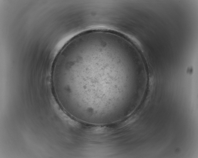 X0000111041279200906251353