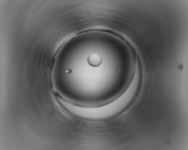X0000111041281200906251353