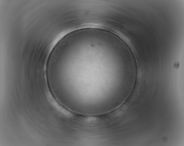 X0000111041283200906251352