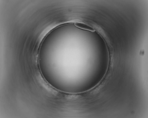 X0000111041284200906251352