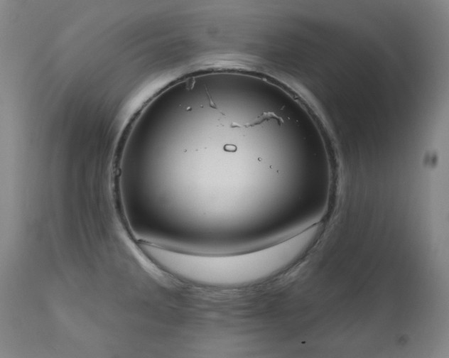 X0000111041285200906251352
