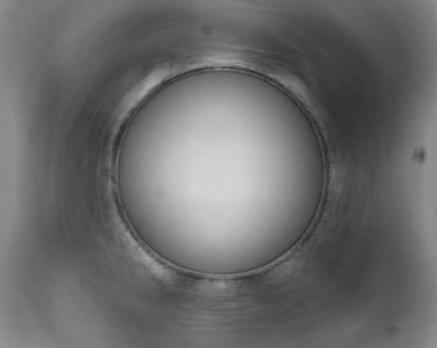 X0000111041286200906251352