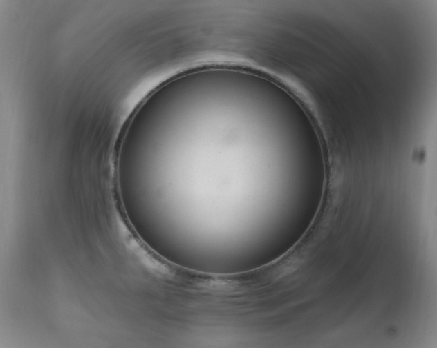 X0000111041287200906251352