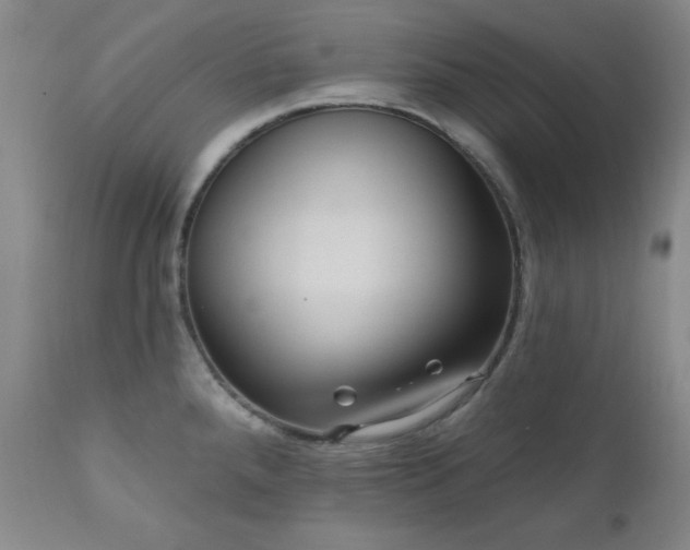 X0000111041288200906251352