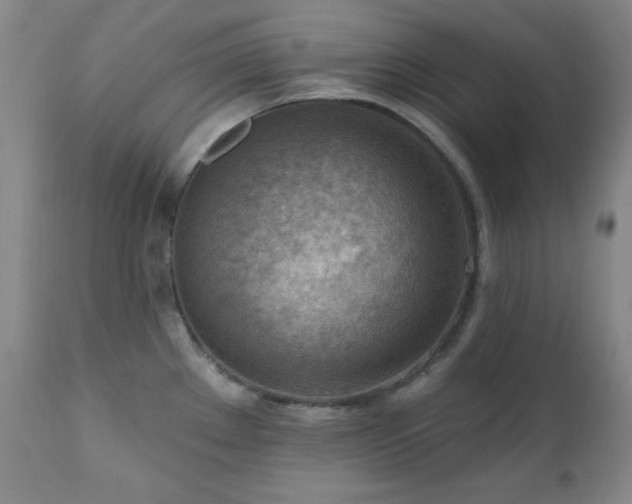 X0000111041289200906251352