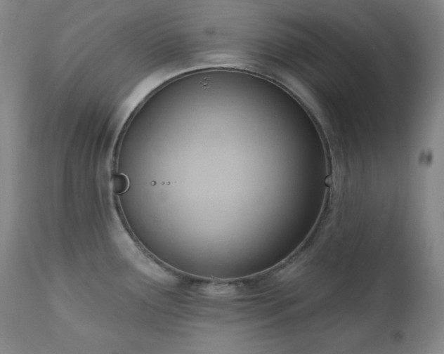 X0000111041291200906251352