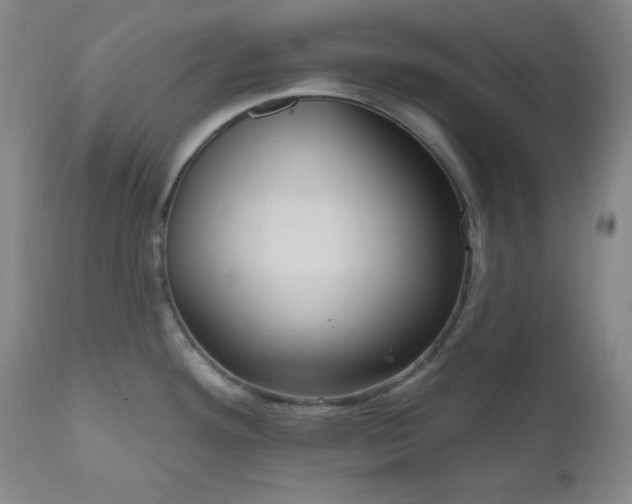 X0000111041292200906251352