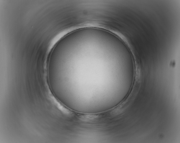 X0000111041294200906251352