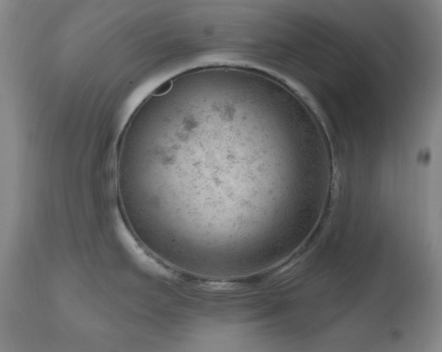 X0000111041295200906251352