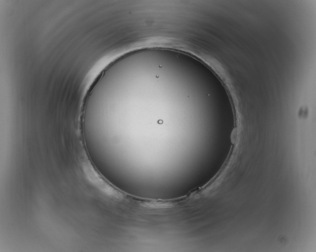 X0000111041296200906251352