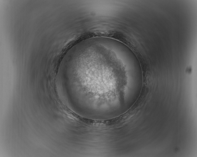 X0000111041297200906251352