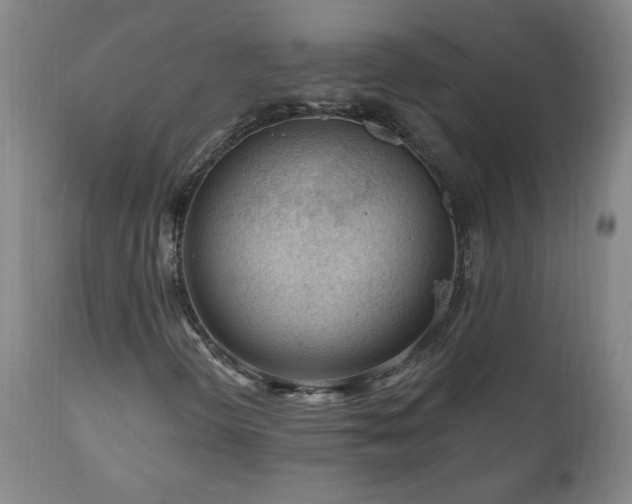 X0000111041298200906251352
