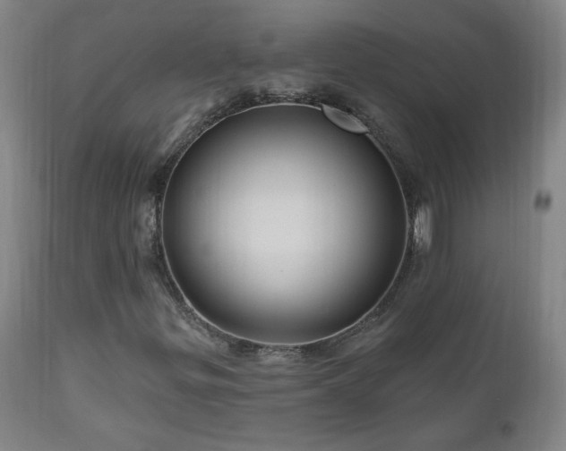 X0000111041299200906251352