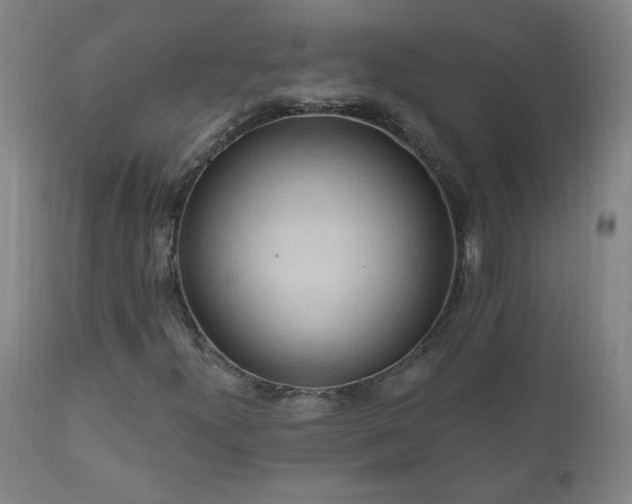X0000111041300200906251352
