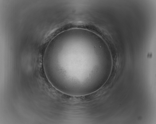 X0000111041301200906251352